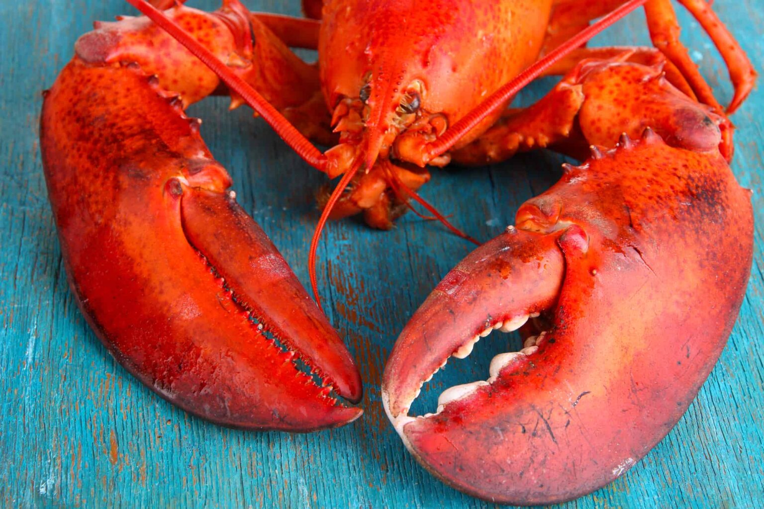 What Does Lobster Taste Like?